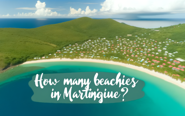 combien-de-plage-en-martinique.png